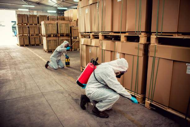 Trusted South San Jose Hills, CA Pest Control Experts