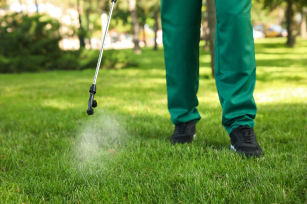 Best Pest Prevention Services  in South San Jose Hills, CA