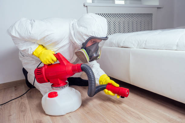 Best Pest Removal Services  in South San Jose Hills, CA