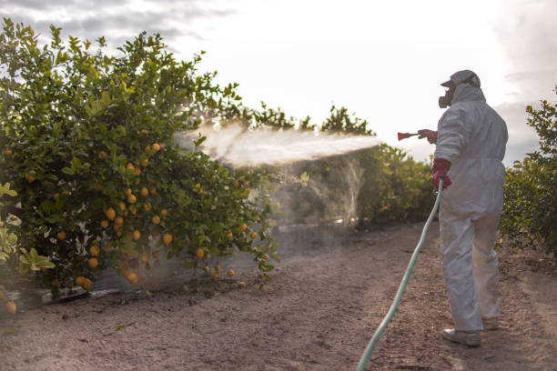Best Residential Pest Control  in South San Jose Hills, CA