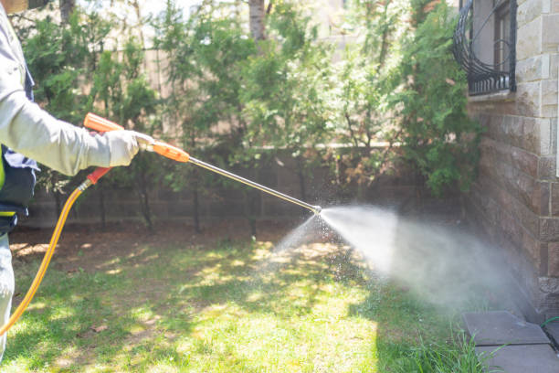 Pest Prevention Services in South San Jose Hills, CA