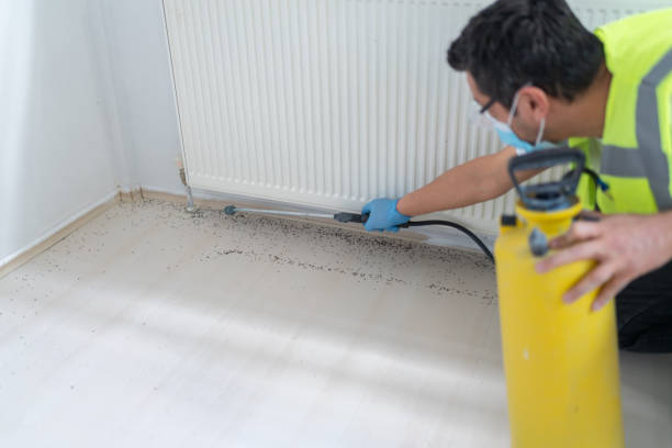 Best Affordable Pest Control Services  in South San Jose Hills, CA